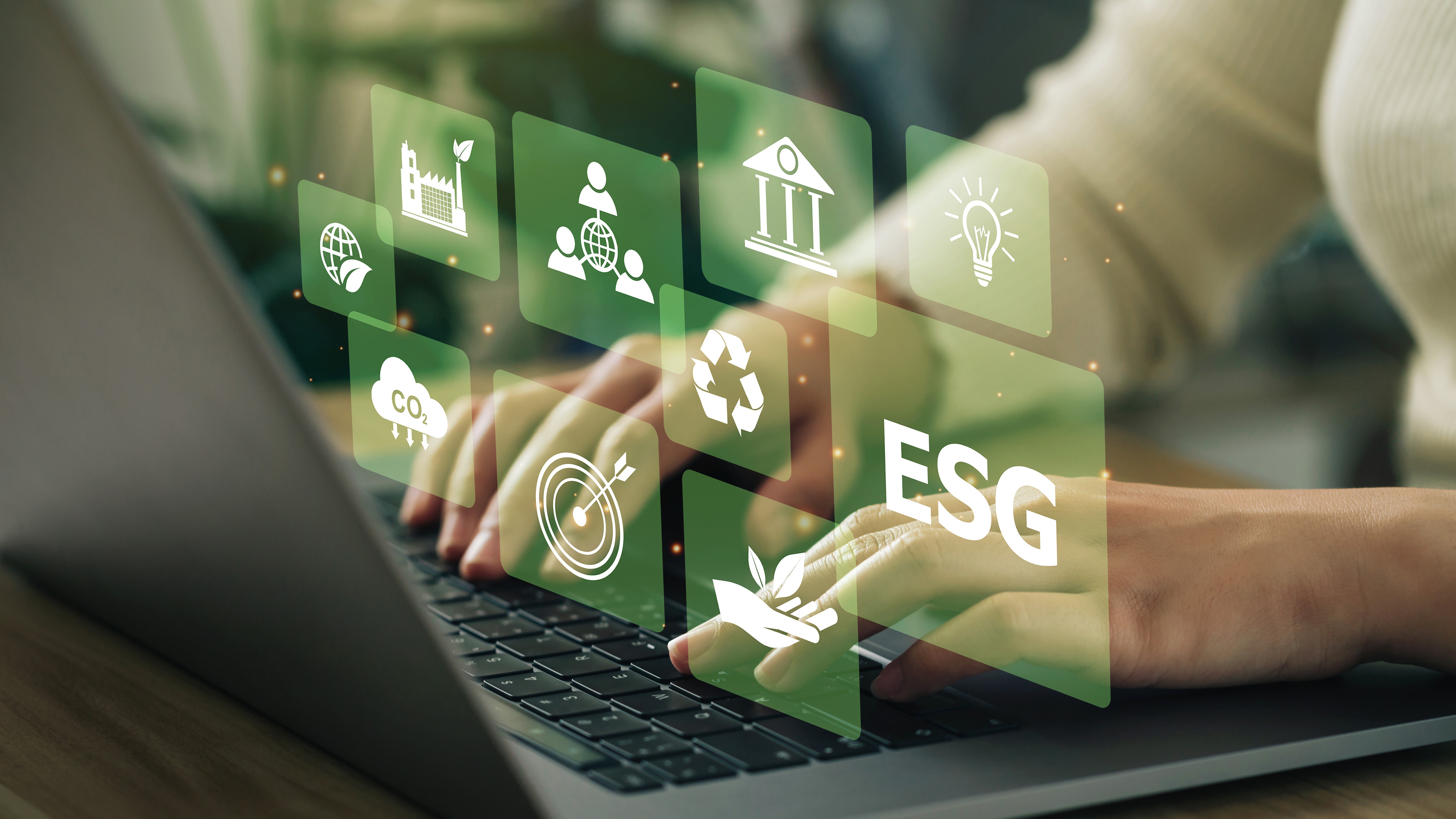 image relative à Corporate experience and organizational learning in sustainability reporting